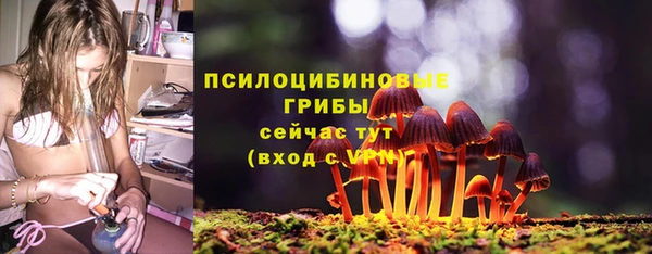 не бодяженный Армянск